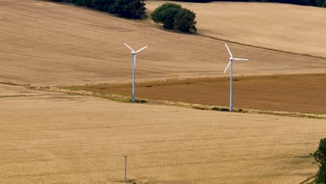 two wind turbines slowly rotate in a sunlit, golden wheat field near kinross, scotland. static wide shot with natural daylight and rural landscape