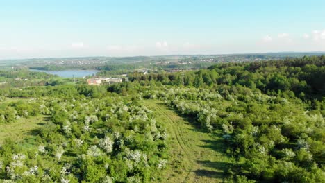 Aerial-dolly-shot-of-a-meadow-in-pomeranian-district-in-Poland