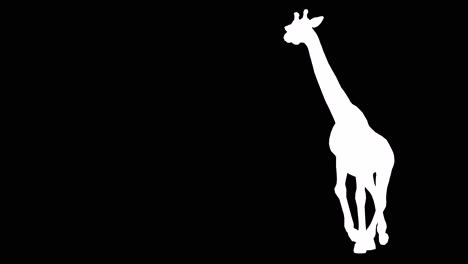 a giraffe running on black background with alpha channel included at the end of the video, 3d animation, perspective view, animated animals, seamless loop animation