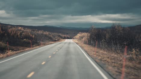 a narrow asphalt road leading through the pale autumn landscape