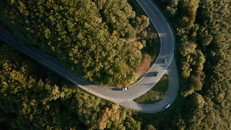 aerial drone point of view of winding road through an autumn forest, multiple cars are taking a sharp turn