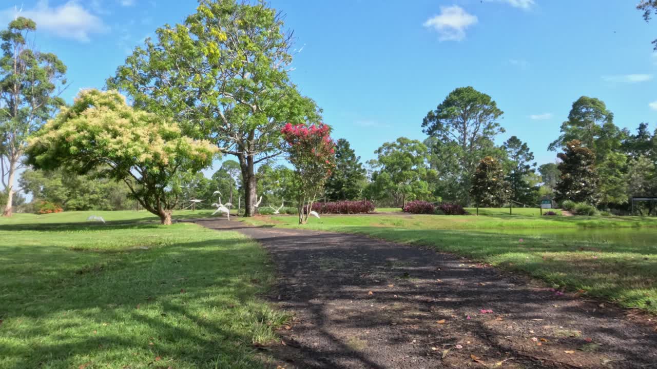 Time-lapse of a park with changing shadows