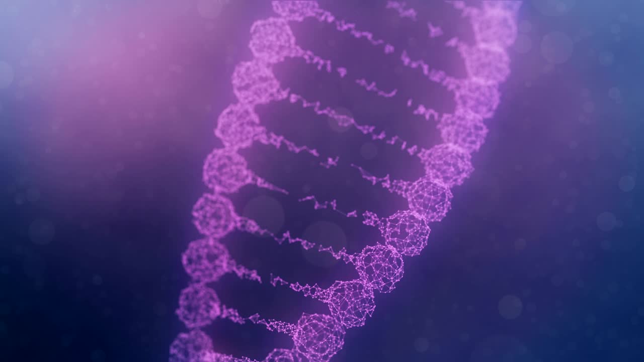 ensamblaje y dispersión de una cadena de adn del plexo giratorio - versión púrpura