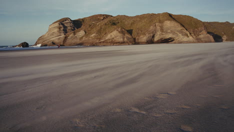 windswept beach in new zealand