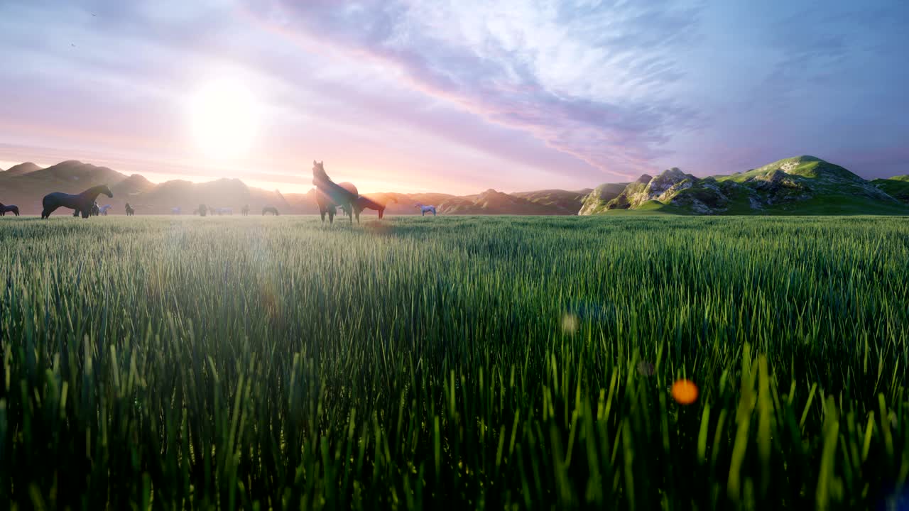 A herd of horses graze on a picturesque green meadow on a beautiful spring morning, illuminated by the Golden rays of the morning sun. Beautiful summer loop background