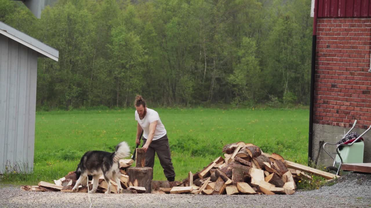 Ritratto di un uomo con un cane che taglia legna da ardere