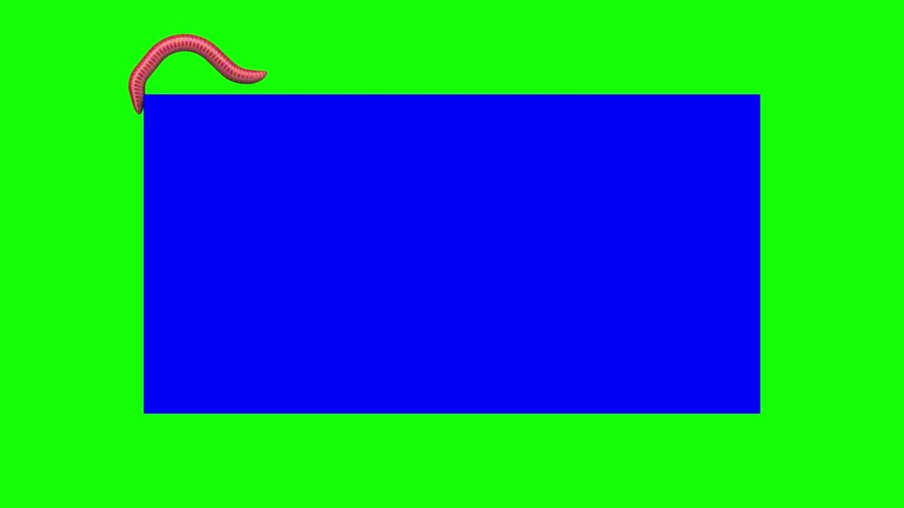 파란 직사각형의 벌레, 루핑 3d 애니메이션