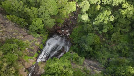 vista alta flotando hacia una cascada de selva tropical que cae en una exuberante piscina verde del valle