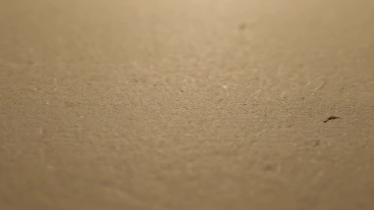 Camera focusing on beige textured wall surface at home, revealing dark speck under warm light