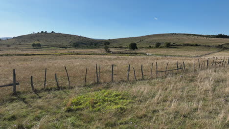 Drone-flight-over-village-meadows-divided-by-wooden-fences