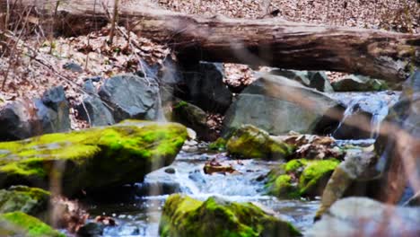 small water fall paired with a stream flowing through stones