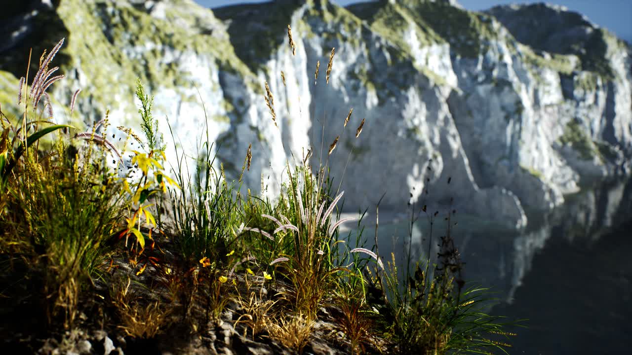 свежая трава на большой скалистой скале в океане