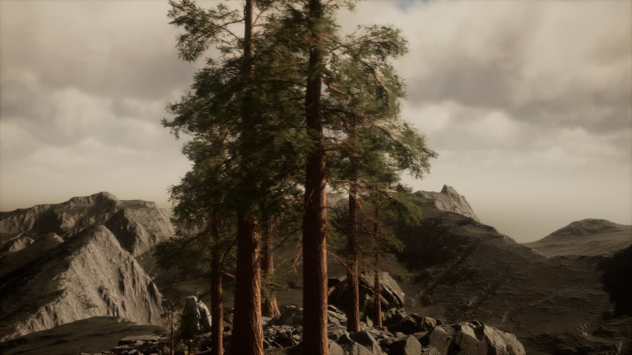 Rupe con alberi e luce del sole