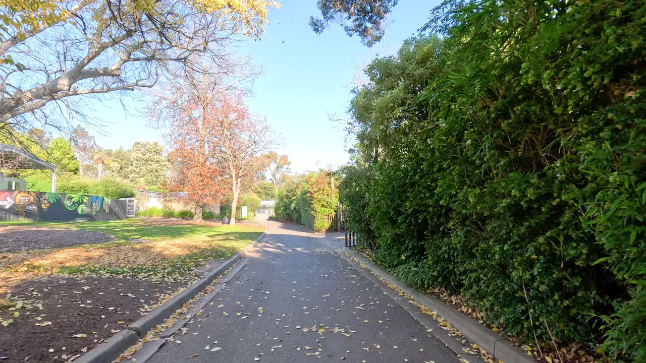 멜버른 동물원의 잎겨드랑이 길을 조용히 걸어다니며