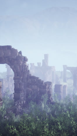 ruinas cubiertas de vegetación en la niebla