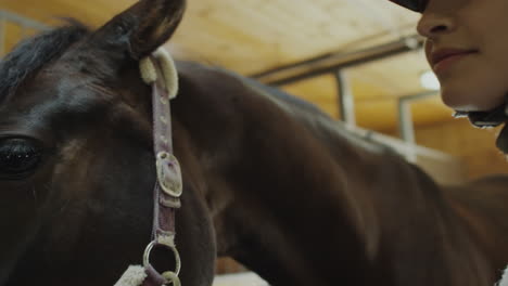 woman gently petting a horse in a stable