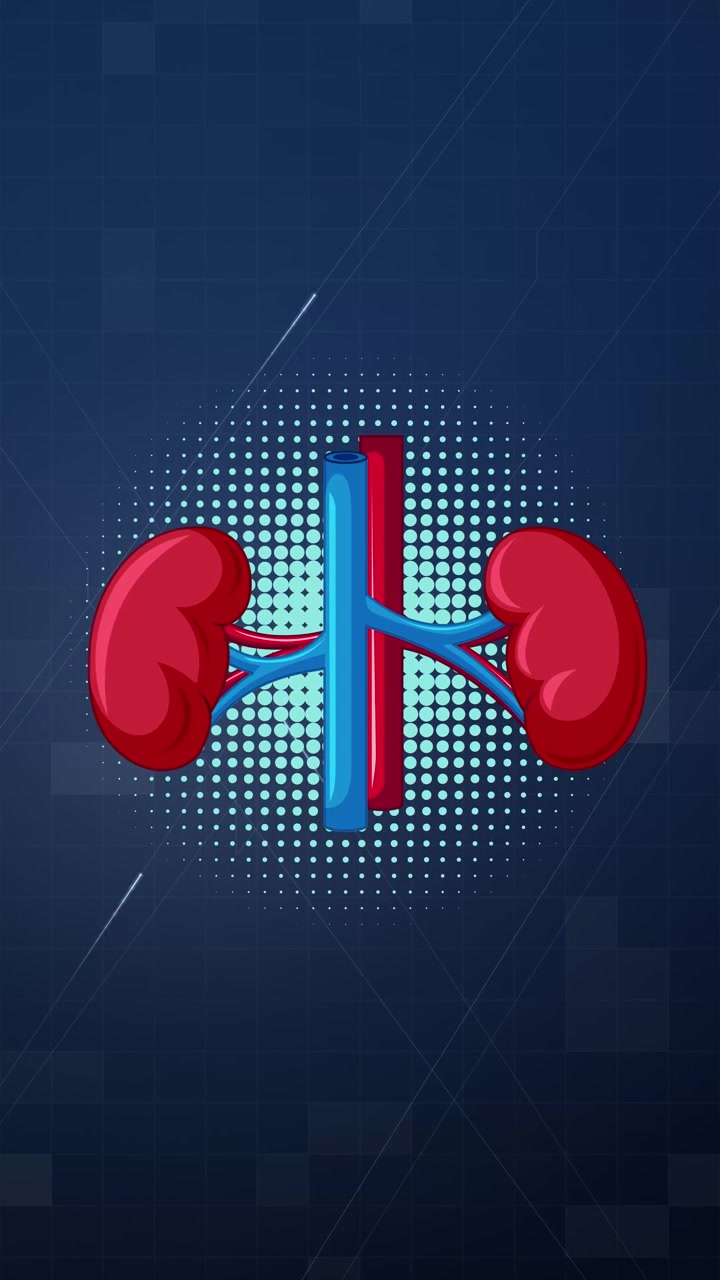 Animated graphic illustration of human kidneys with renal arteries and veins against digital blue background.