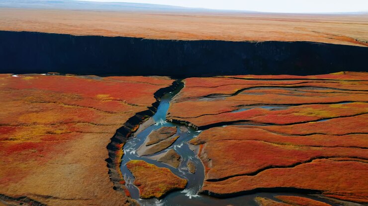 Fiume a canali intrecciati che si snoda attraverso la tundra autunnale, vista aerea di canali serpeggianti e palude arancione, scogliera scura.