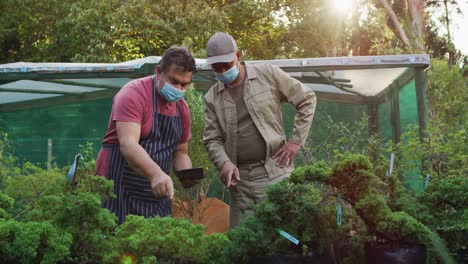 Diversos-Jardineros-Masculinos-Con-Máscaras-Faciales,-Cuidando-El-árbol-Bonsái-En-El-Centro-De-Jardinería.