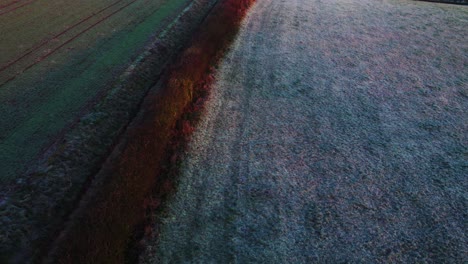 aerial view of a frosty field and hedge in winter