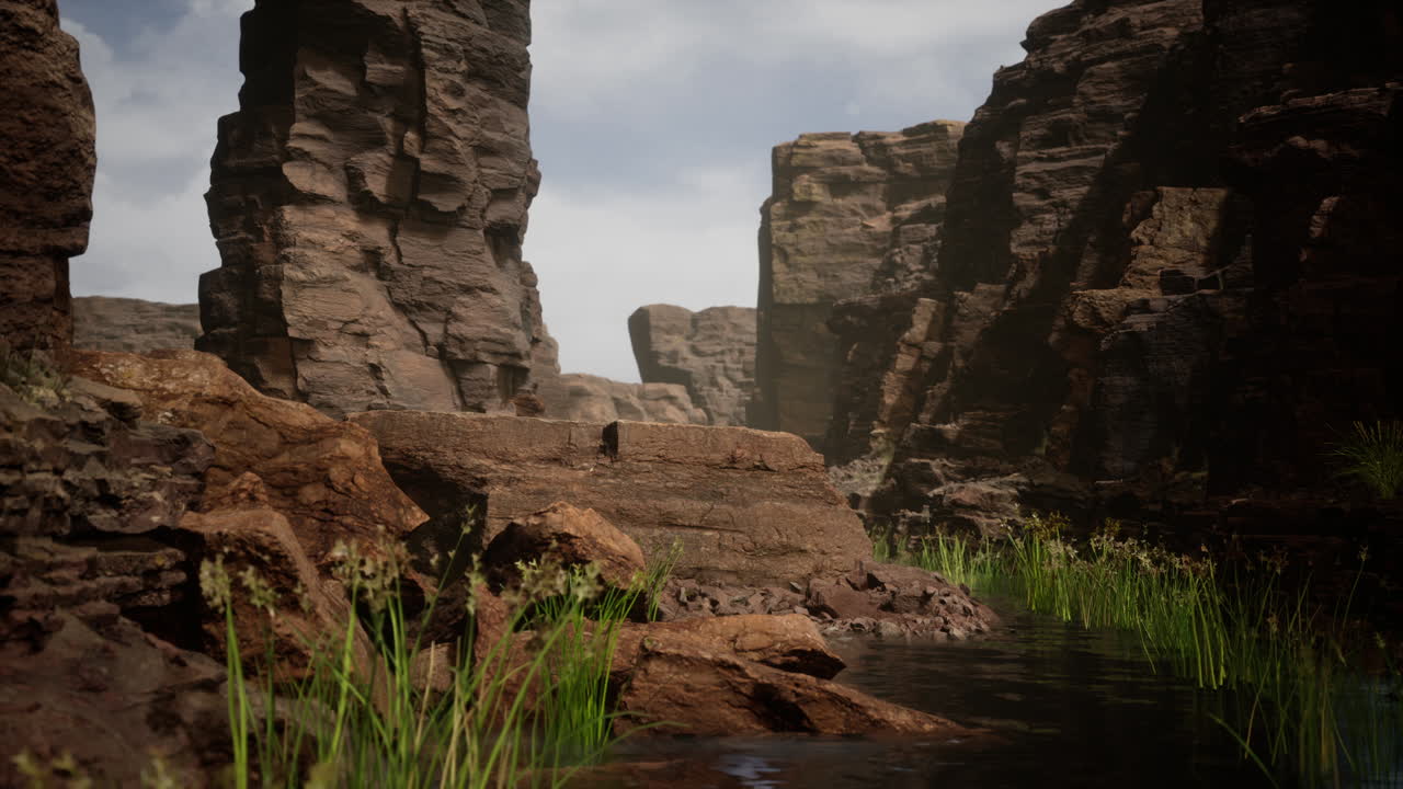 Il fiume Colorado si fa strada nella roccia del Grand Canyon