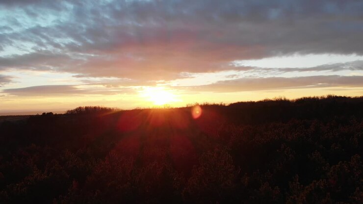 Volo di drone su una foresta di conifere al tramonto