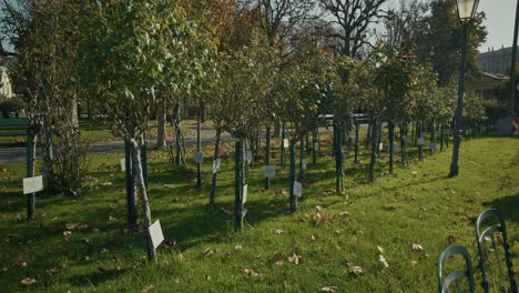 young trees with labels and benches in volksgarten, vienna, austria