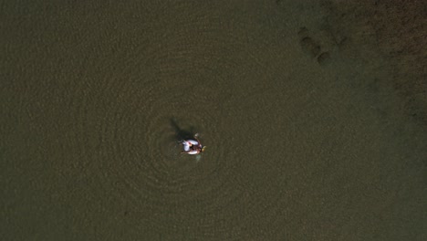 relajante natación flotante en la playa de eilat hadatiyim playa antena