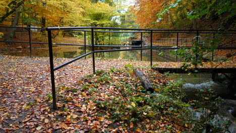 Puente-En-El-Parque-Forestal-De-Otoño