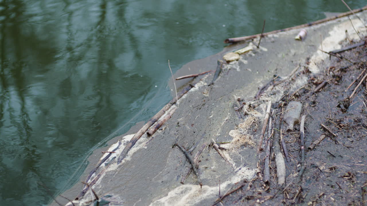 호수에 떠있는 막대기와 쓰레기 4