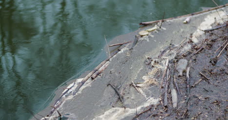 sticks and garbage floating on lake 4