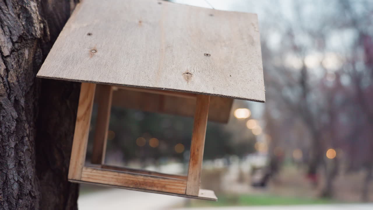 Close up of wooden birdhouse hanging from tree trunk in quiet park during evening with blurred trees and glowing street lights in background, creating peaceful outdoor mood in low natural light