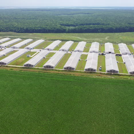 rows of white buildings for farming outdoors. modern farmland in the rural place. exterior of long farm barns among natural environment. camera moves back.