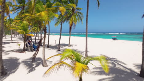 Palm-Trees-At-Cayo-Sombrero-Island-In-Morrocoy-National-Park,-Venezuela---Drone-Shot