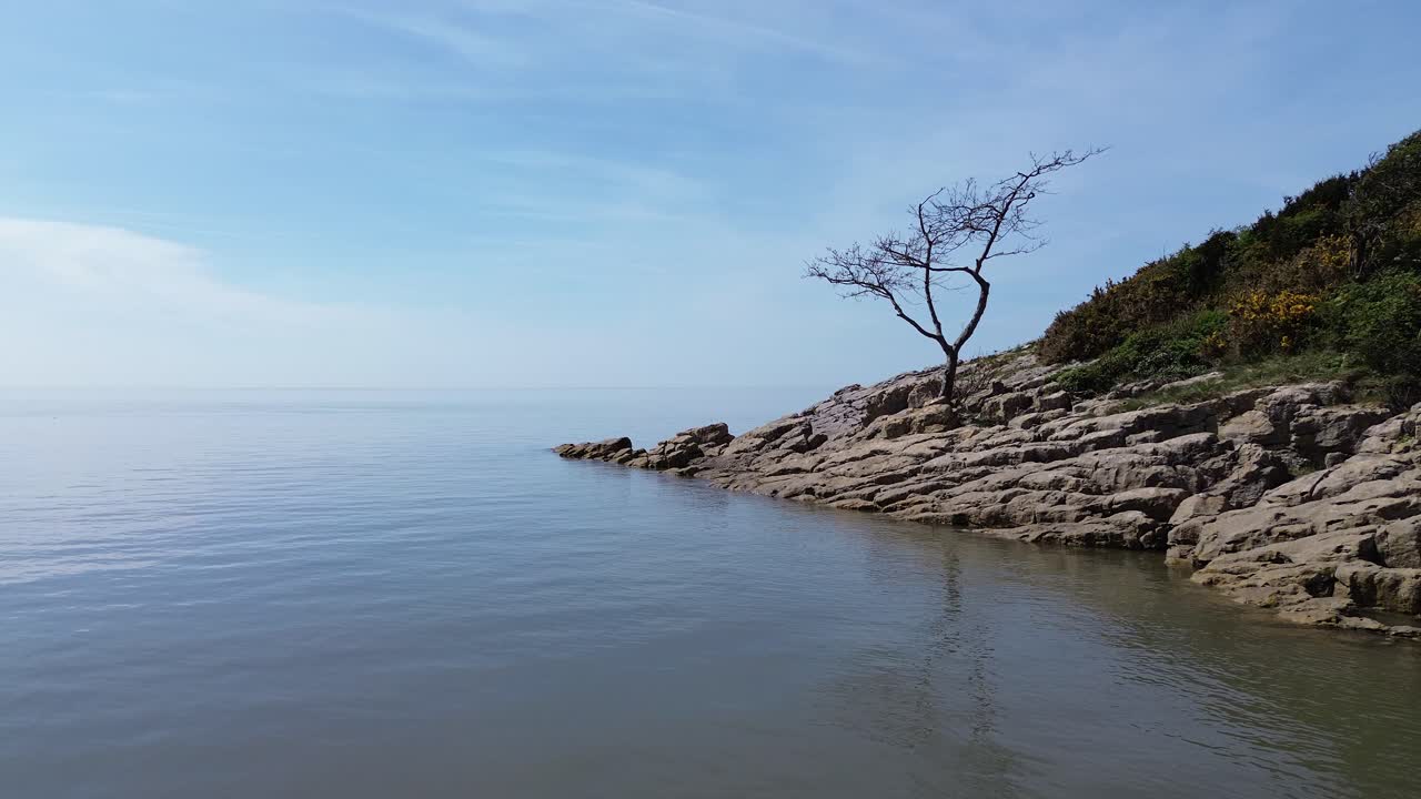 Weathered tree on rocky slope erosion aerial view calming tide and dreamlike blue sky horizon