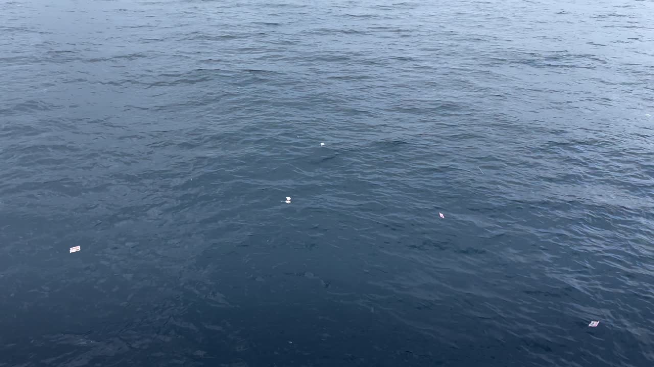 해양 환경 문제의 플라스틱 쓰레기