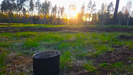 gorgeous slow motion footage of a camping stove boiling hot water in the middle of nature forest and a grassy green field during golden hour sunset or sunrise when dew is visible on grass. beautiful.
