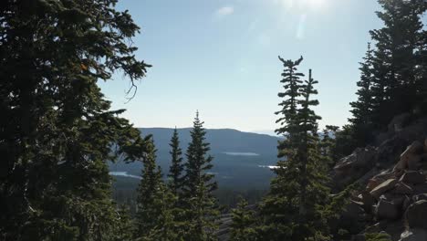 beautiful landscape shot of the wild uinta wasatch cache national forest from the bald mountain hike with large pine trees and alpine lakes below on a bright sunny summer day
