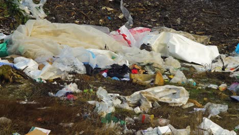 pila de diferentes tipos de grandes vertederos de basura, bolsas de plástico y vertederos llenos de basura, contaminación ambiental, toma de primer plano medio