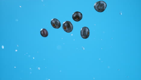 eight blueberries explosion with water from below, flying in air