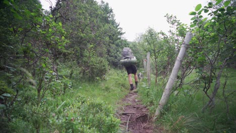 Backview-Of-Backpacker-Walking-With-Dog-On-Narrow-Trail-Passing-Through-Dense-Trees