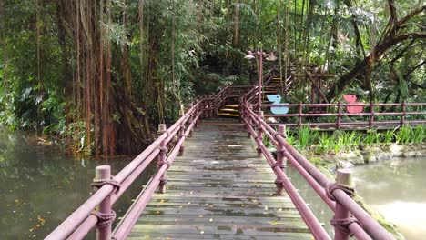 foto de pov a caminhar no velho cais no lago da floresta escura