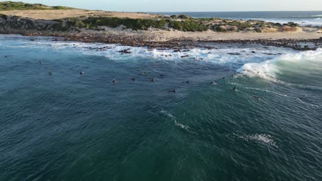 Toma-Aérea-En-órbita-Que-Muestra-A-Un-Grupo-De-Surfistas-Practicando-Surf-En-El-Agua-Del-Océano-Cerca-De-La-Costa-De-Gracetown-En-Australia.