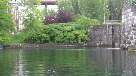 Ein-Wunderschöner-Blick-Auf-Das-Wasser-Mit-Den-Bäumen-Dahinter