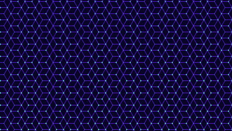 symmetrical purple and black cubes grid pattern