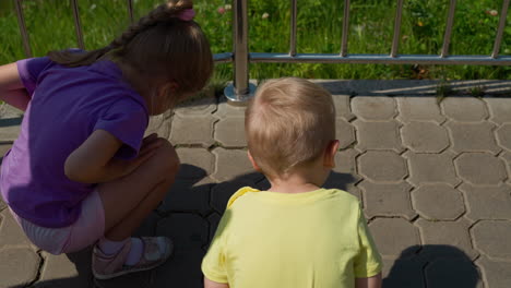 little brother and sister look at running ants on paved road