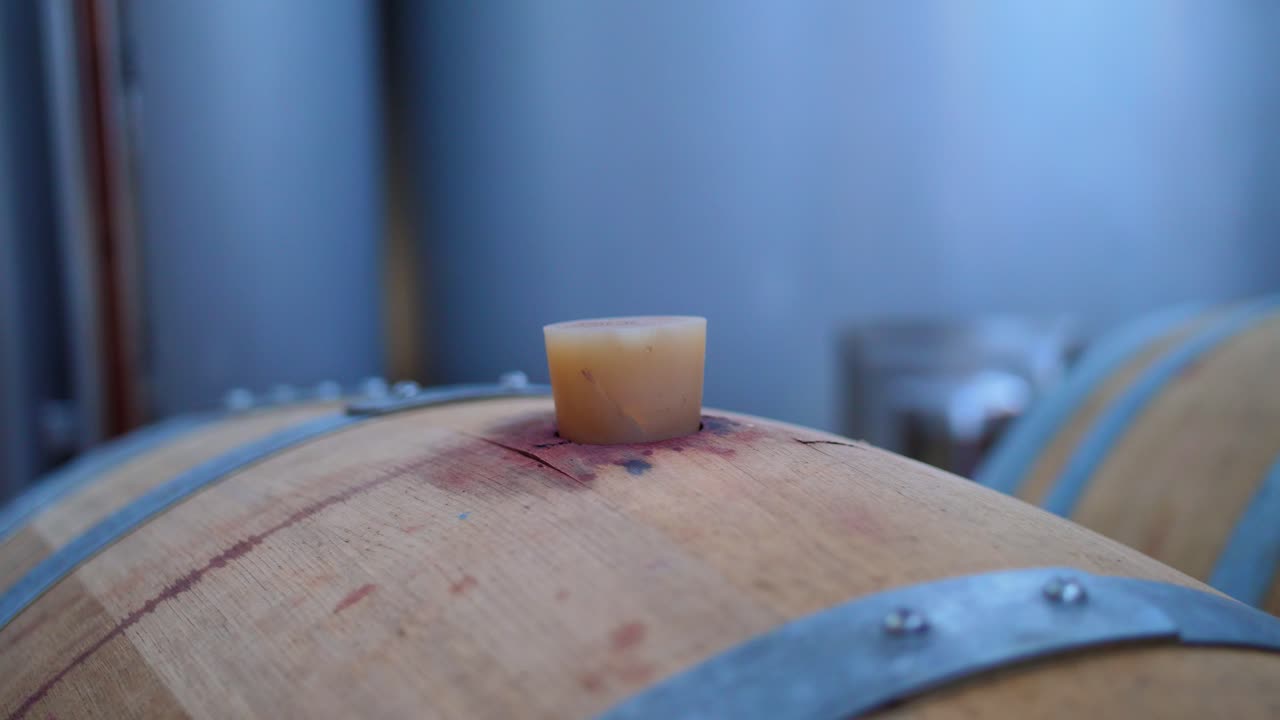 tapa de barril de vino de madera - primer plano