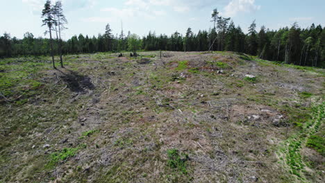 Flyover-above-deforestation-clear-cut-hillside-removing-pine-trees-for-logging-and-development