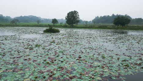 Drone-Flying-Low-Over-Mahiyangana-Beautiful-Lake-At-Rainy-Day,-Sri-Lanka