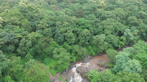 waterfall in the middle of rain forest in india